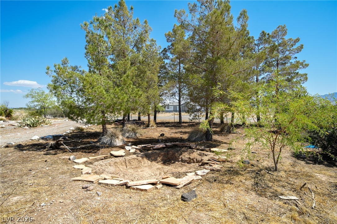 4310 Assay Lane Pahrump NV 89060