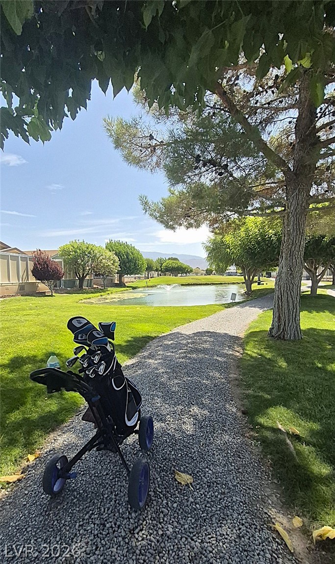 540 Montecito Drive Pahrump NV 89048