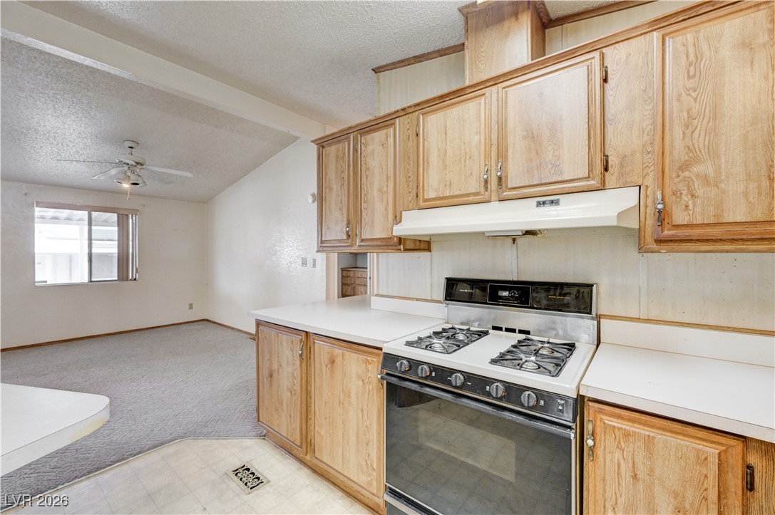 506 Mona Lane Henderson NV 89015