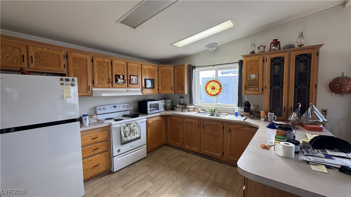 1171 South Comstock Circle Pahrump NV 89048