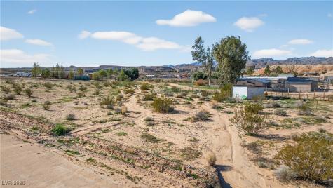 1930 Turvey Avenue Moapa NV 89025