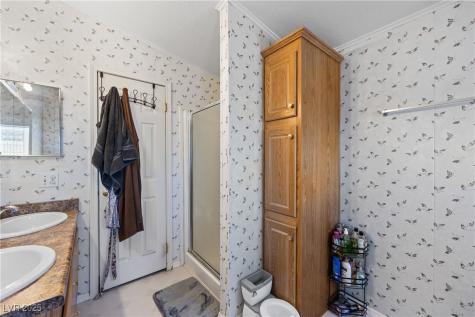 516 White Domes Drive Overton NV 89040