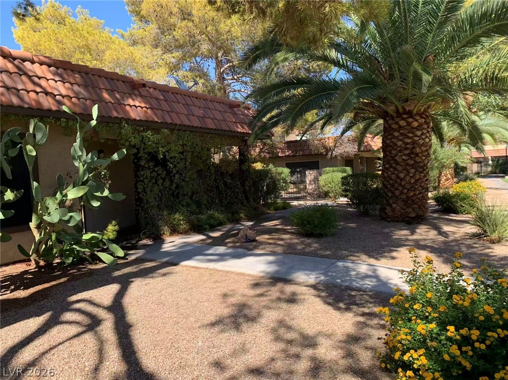 1897 Avacado Court Henderson NV 89014