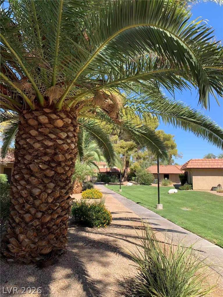 1897 Avacado Court Henderson NV 89014