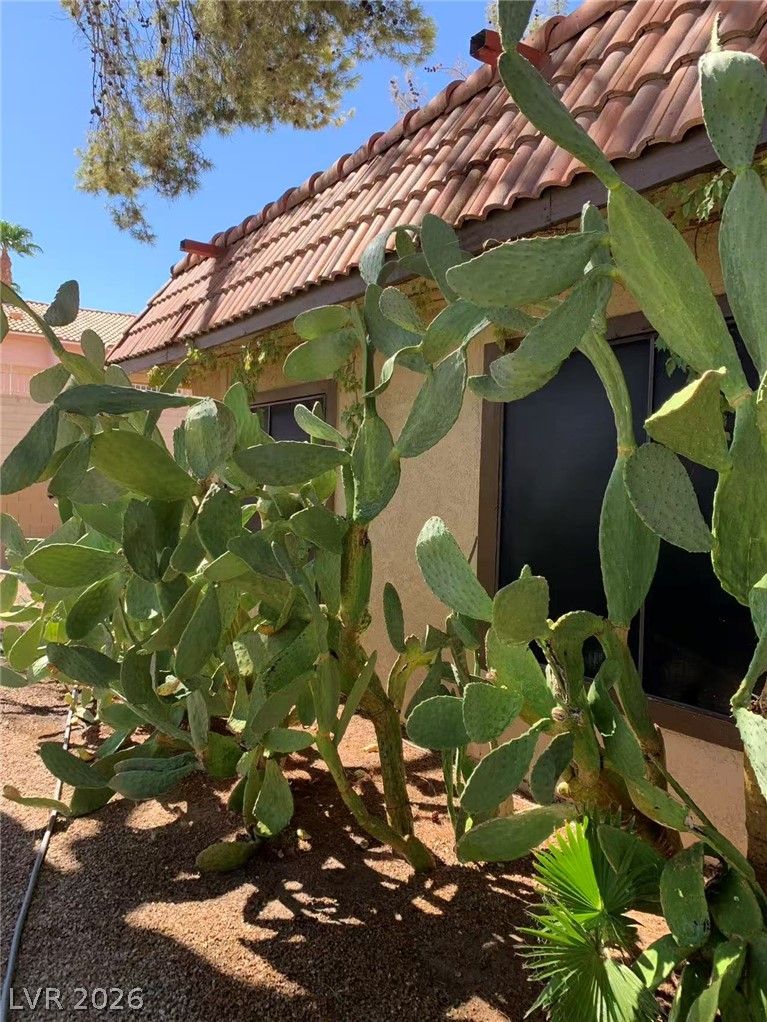1897 Avacado Court Henderson NV 89014