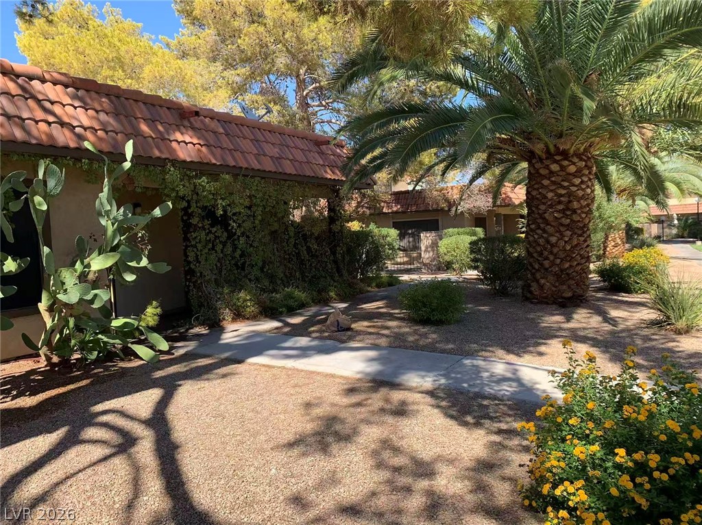 1897 Avacado Court Henderson NV 89014