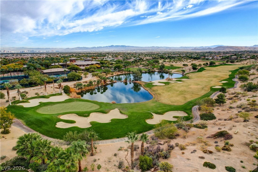 1920 Alcova Ridge Drive Las Vegas NV 89135