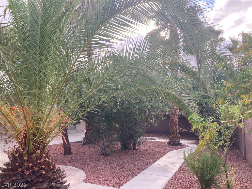 6576 Gossamer Fog Avenue Las Vegas NV 89139