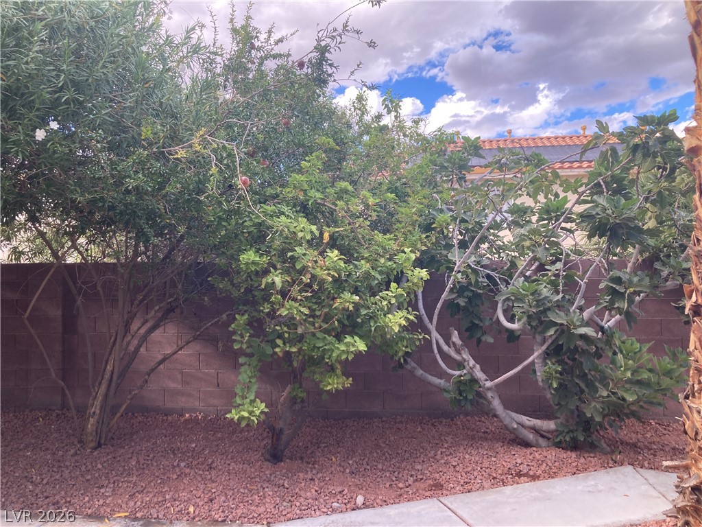 6576 Gossamer Fog Avenue Las Vegas NV 89139