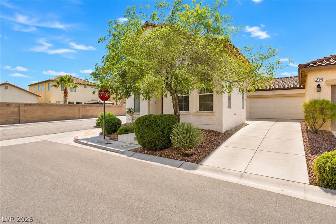 6513 Delicate Petal Court Las Vegas NV 89149