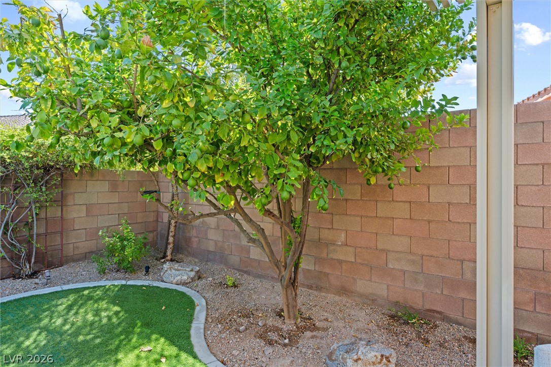 1060 Via Nandina Place Henderson NV 89011