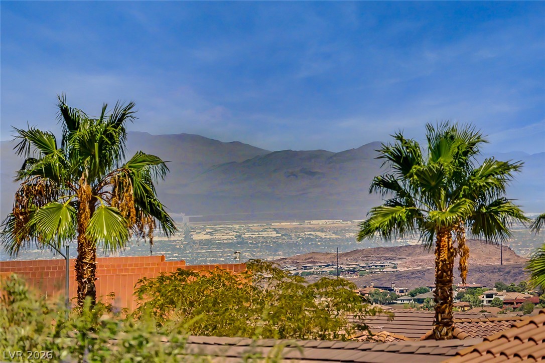 2204 Canyonville Drive Henderson NV 89044