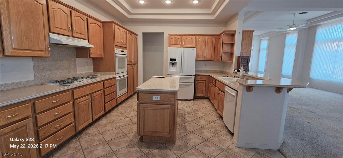 2352 Hot River Street Las Vegas NV 89139