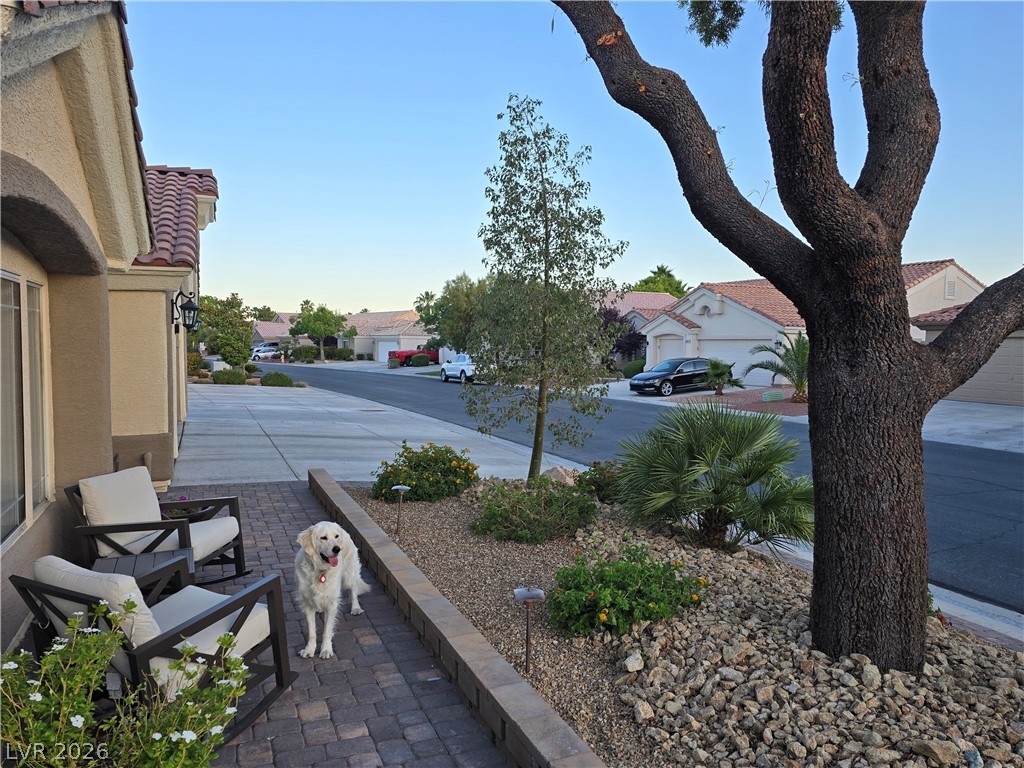 6036 Cocktail Drive Las Vegas NV 89130