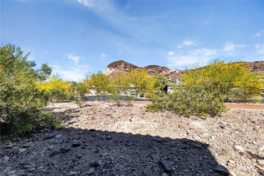 12 Verruca Court Henderson NV 89011