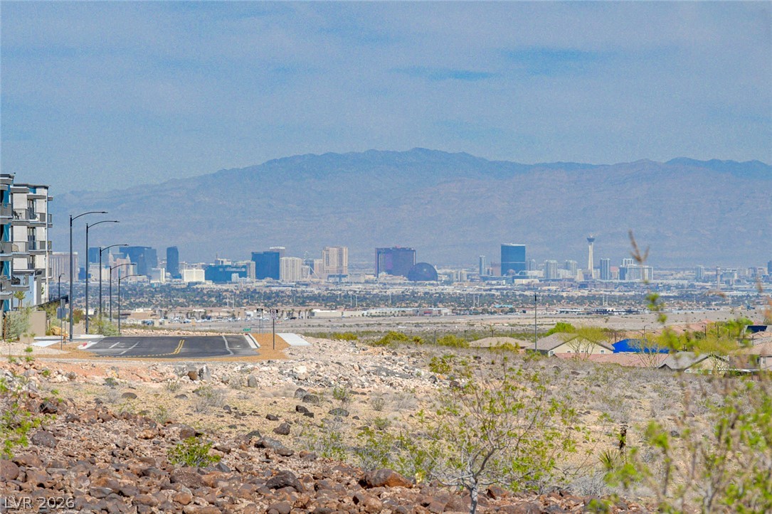 2216 Via Zoran Henderson NV 89044