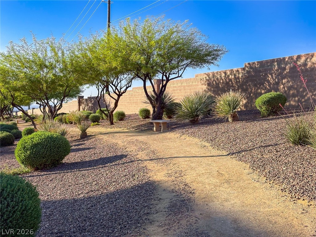1333 Allegheny Moon Terrace 1 Henderson NV 89002