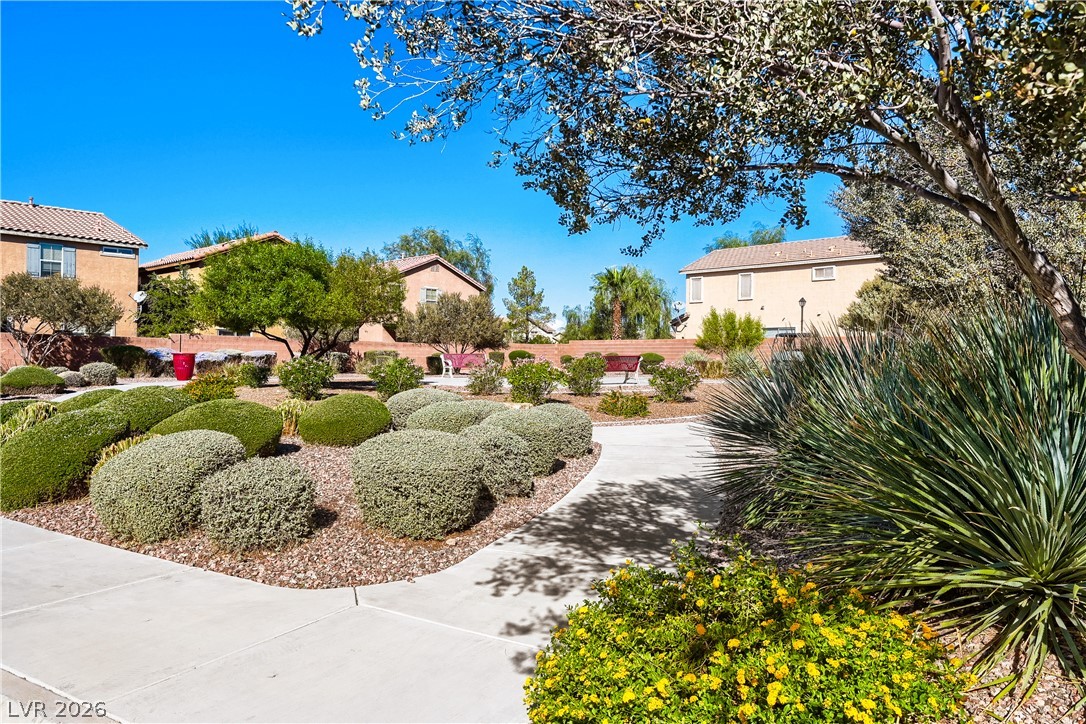 1141 Via Rocca Henderson NV 89052