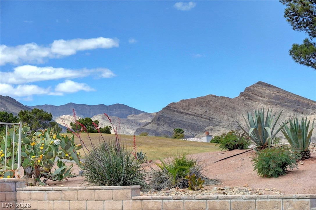 10300 Button Willow Drive Las Vegas NV 89134