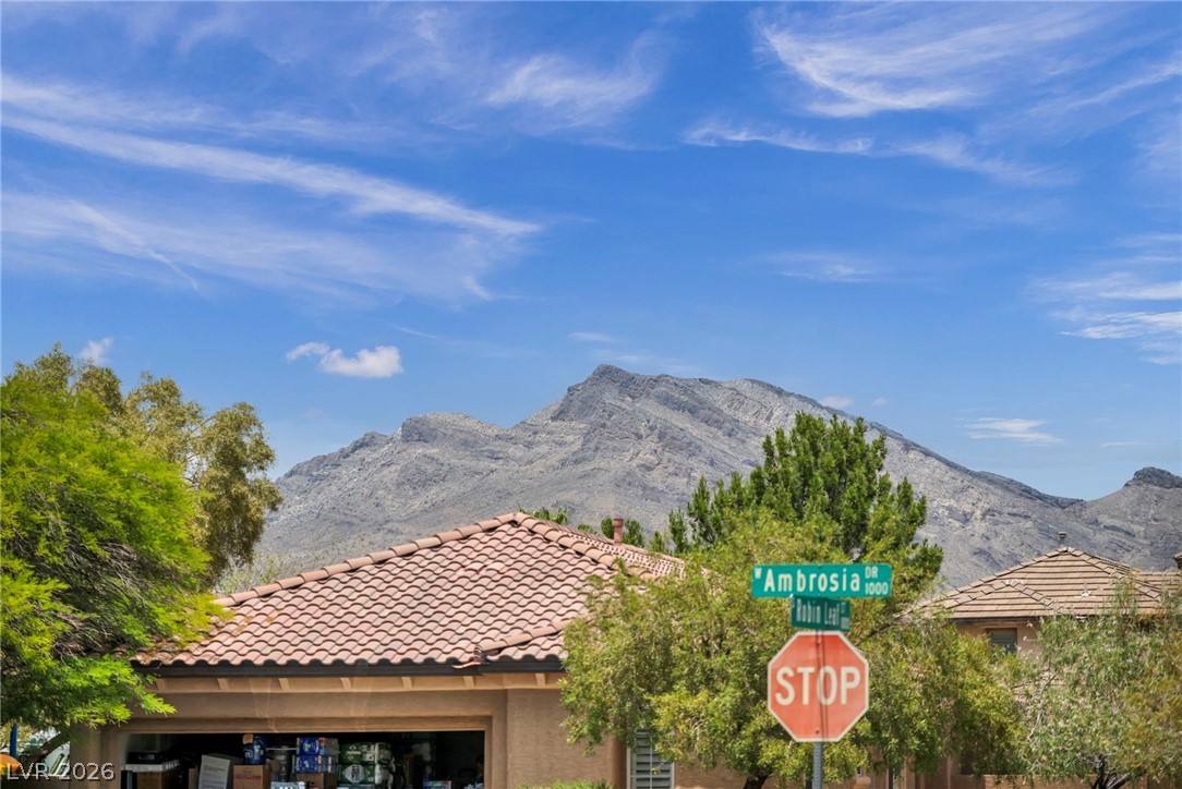 1080 Robin Leaf Court Las Vegas NV 89138