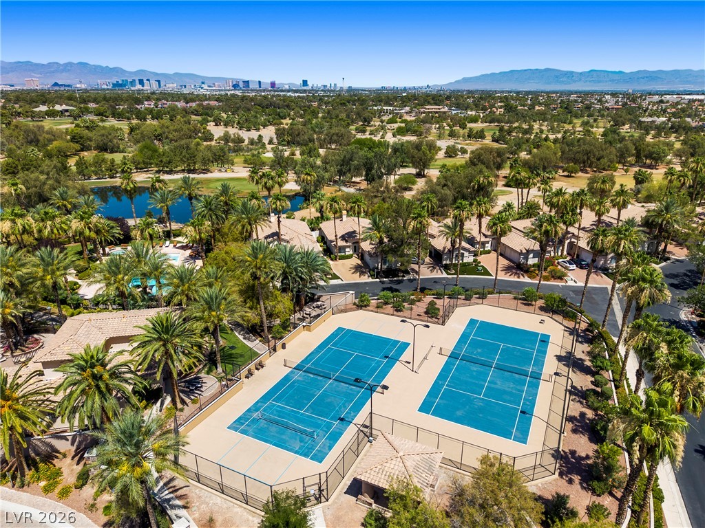 475 Indigo Springs Street Henderson NV 89014