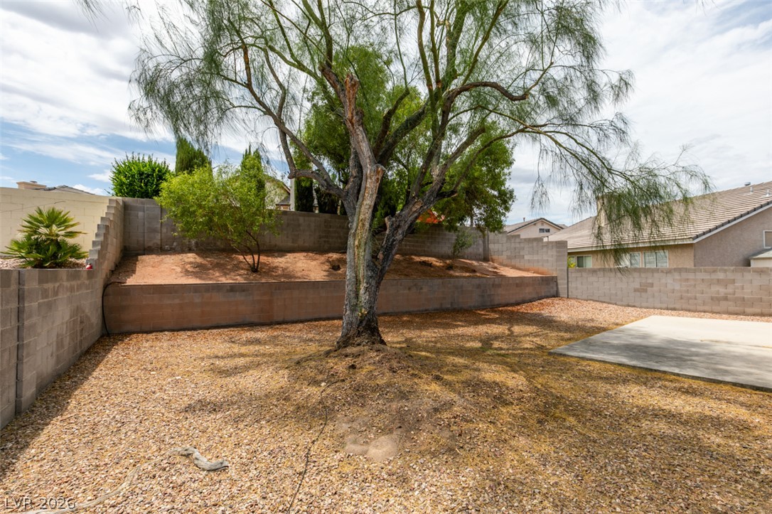 2052 Angel Falls Drive Henderson NV 89074