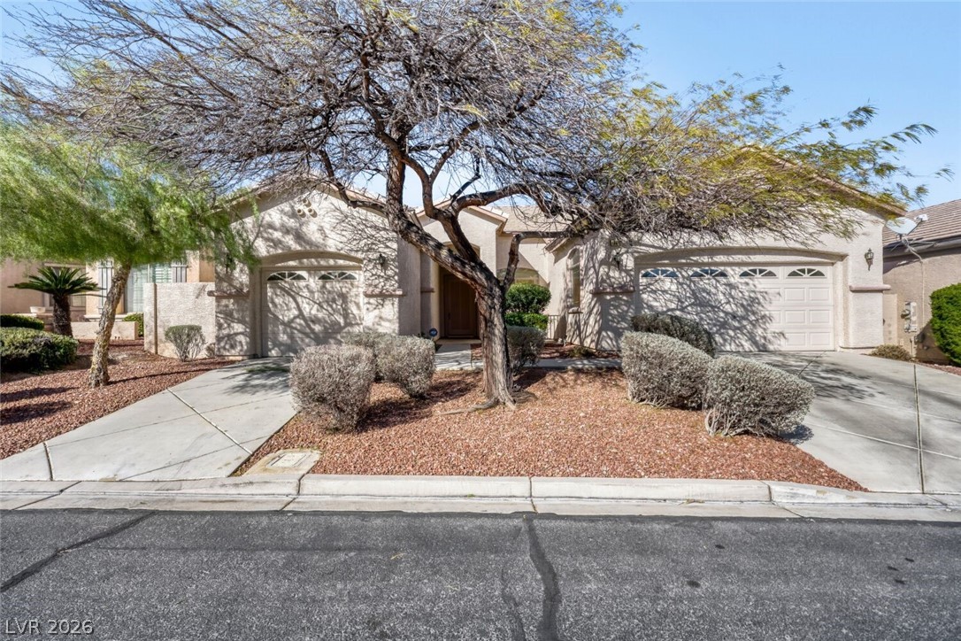 10668 Arundel Avenue Las Vegas NV 89135