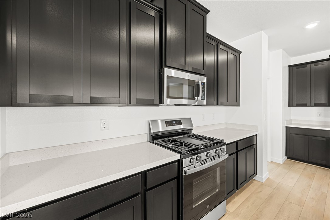 1468 Bianca Falls Drive Henderson NV 89011