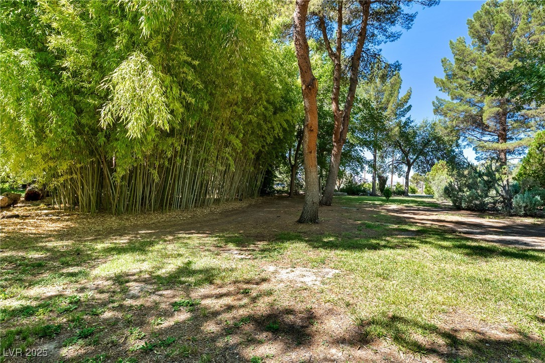 2221 West Windsong Lane Pahrump NV 89048