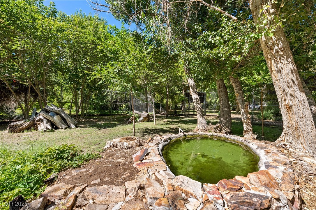 2221 West Windsong Lane Pahrump NV 89048