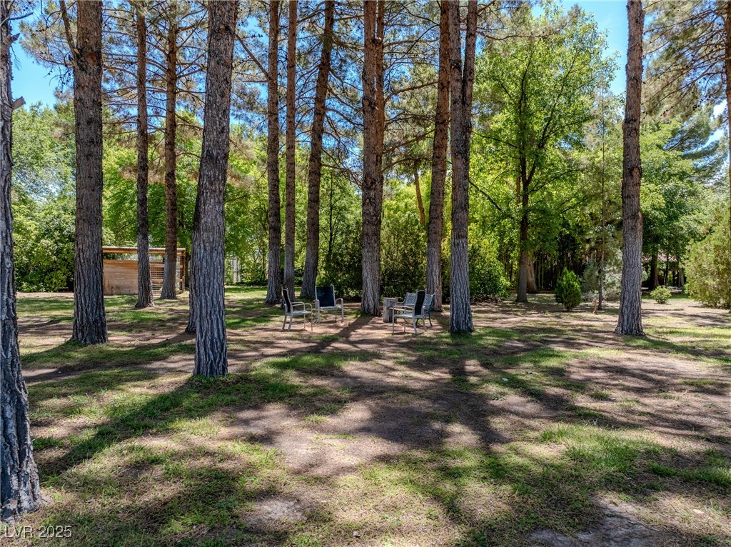 2221 West Windsong Lane Pahrump NV 89048