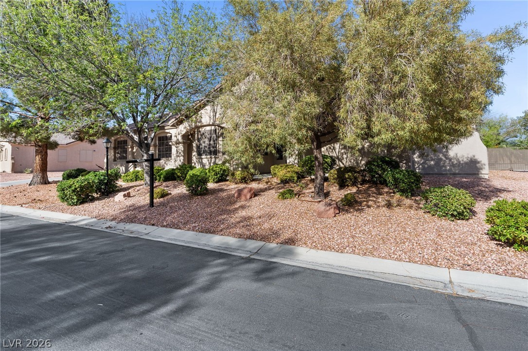 8088 Winchester Bluff Street Las Vegas NV 89131