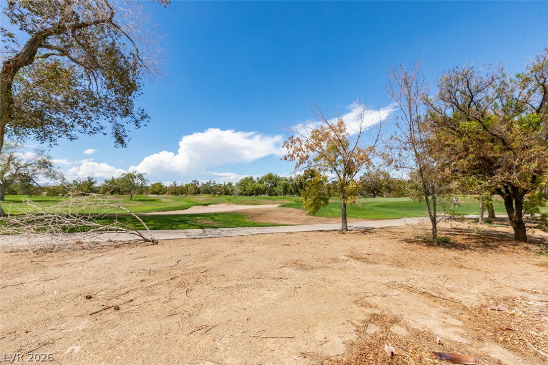 483 Indigo Springs Street Henderson NV 89014