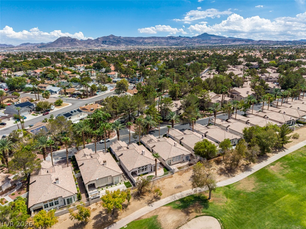 483 Indigo Springs Street Henderson NV 89014