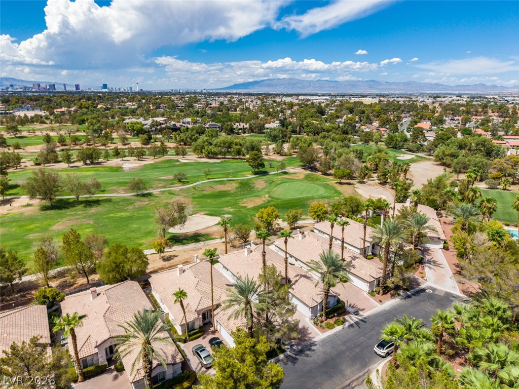 483 Indigo Springs Street Henderson NV 89014