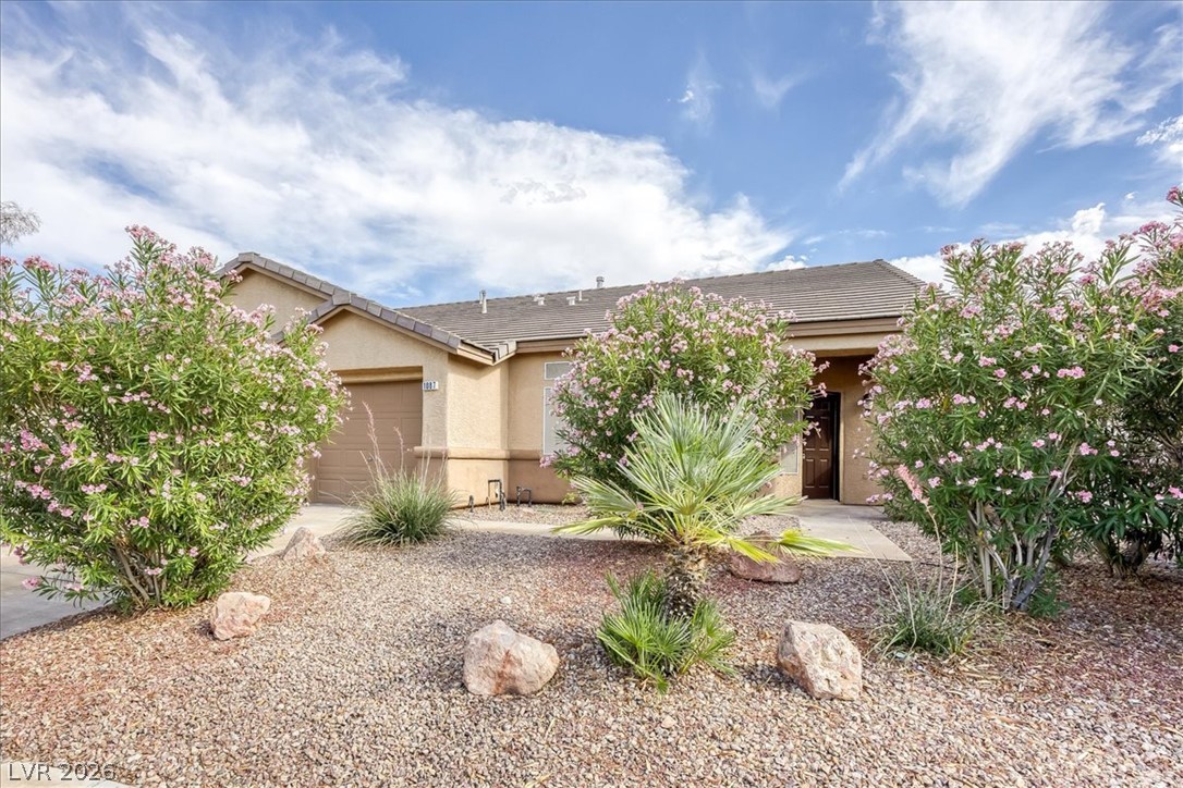 1087 Las Palmas Entrada Avenue Henderson NV 89012