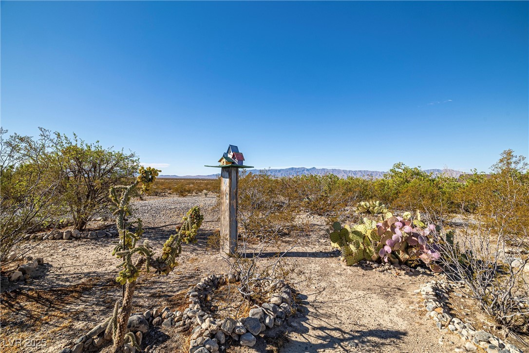 5950 Mojave Street Pahrump NV 89061