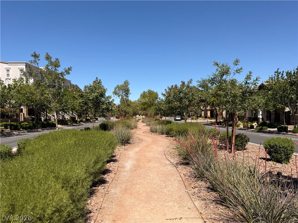 3053 Echoed Rondel Lane Henderson NV 89044