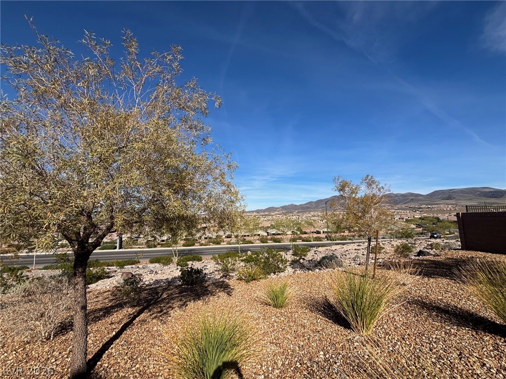 2674 Frabiele Street Henderson NV 89044