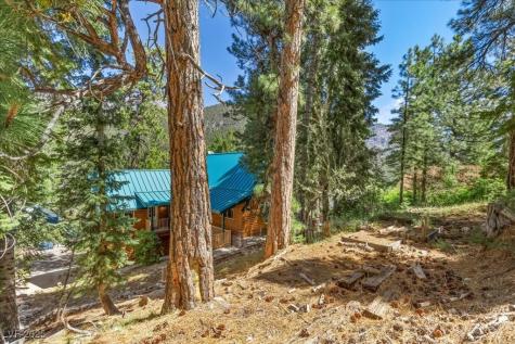 370 Alpine Way Mount Charleston NV 89124