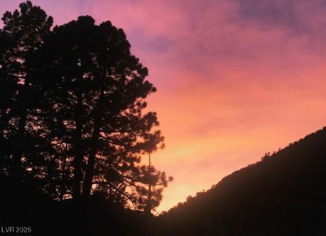 370 Alpine Way Mount Charleston NV 89124