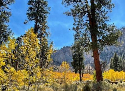 370 Alpine Way Mount Charleston NV 89124