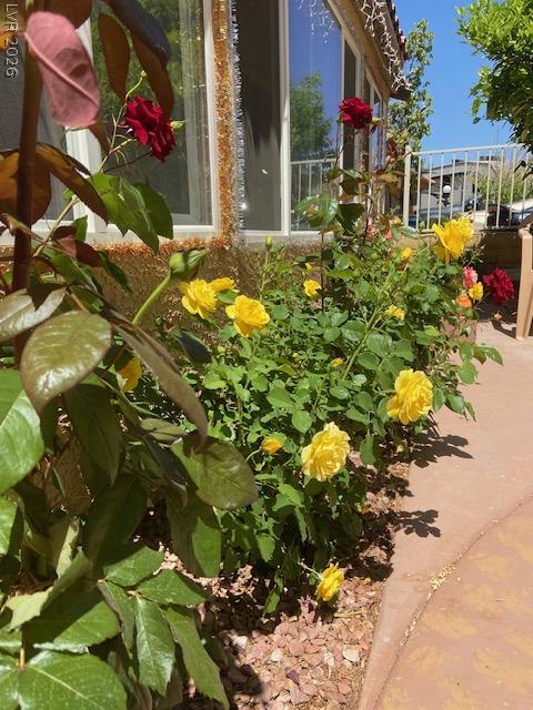 3877 Platis Circle Las Vegas NV 89103