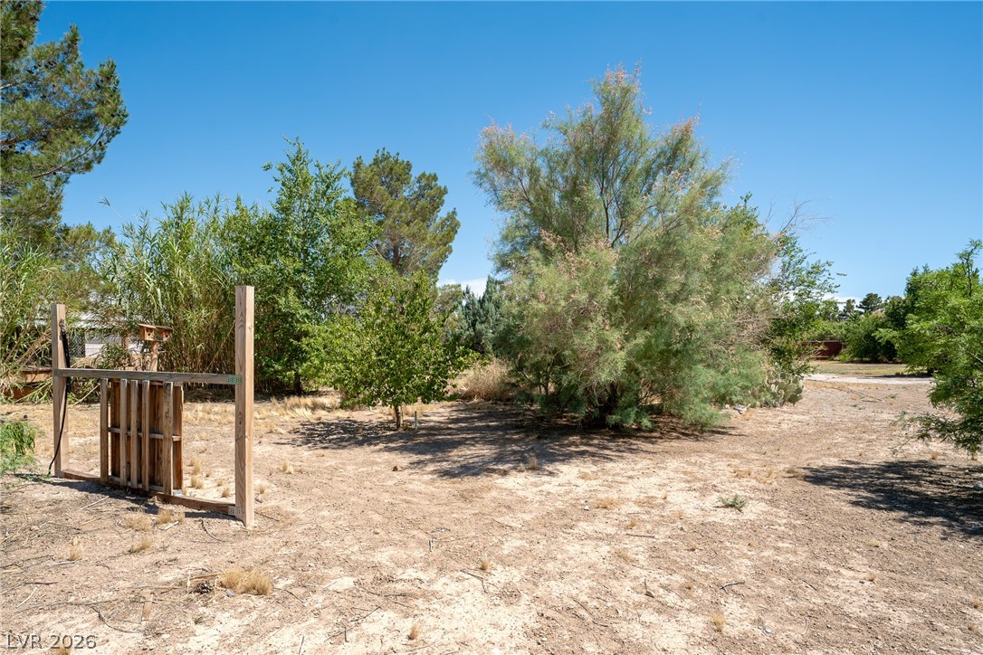 1531 Bridger Street Pahrump NV 89048