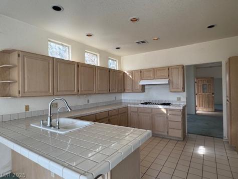 8921 Diamond Falls Drive Las Vegas NV 89117