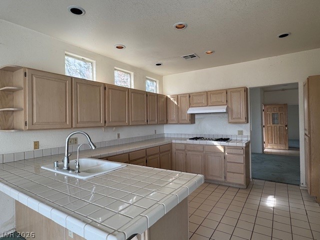 8921 Diamond Falls Drive Las Vegas NV 89117