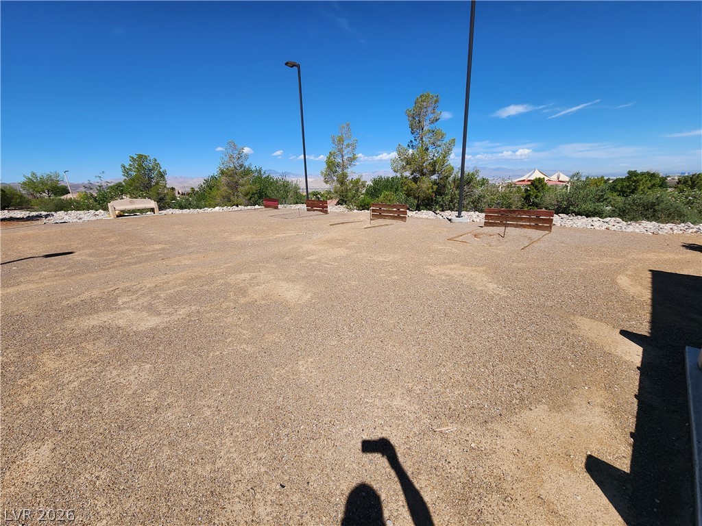 2604 Courgette Way Henderson NV 89044