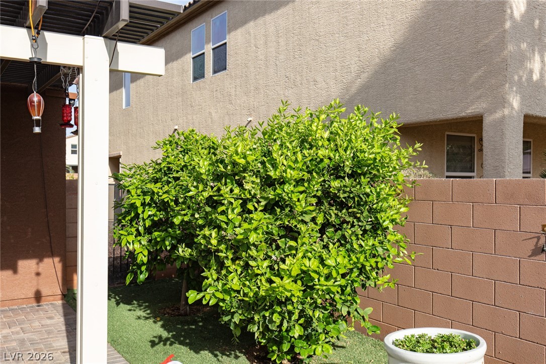 984 Pretty Fire Street Las Vegas NV 89178