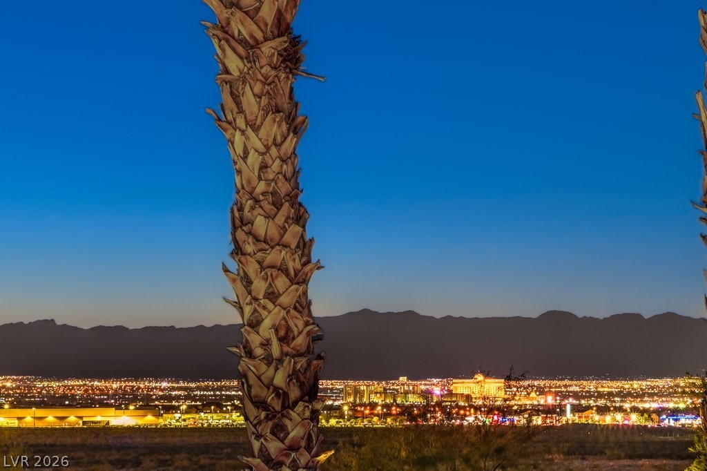 1231 Diamond Valley Street Henderson NV 89052