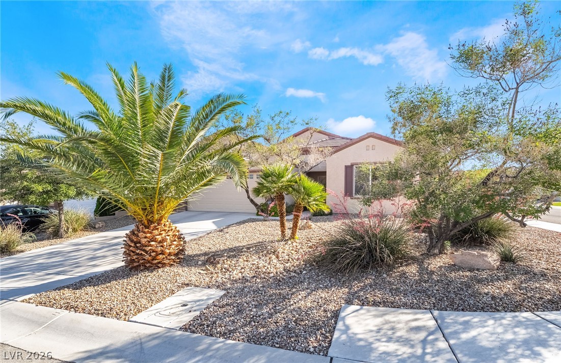 2570 Cosmic Dust Street Henderson NV 89044